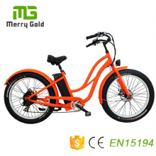 2019 New Design Fat Tire Electric City Bike for Lady